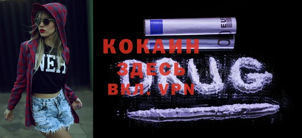 PSILOCYBIN Навашино