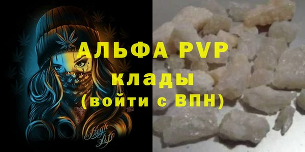 гидра Надым