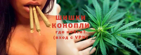 PSILOCYBIN Навашино