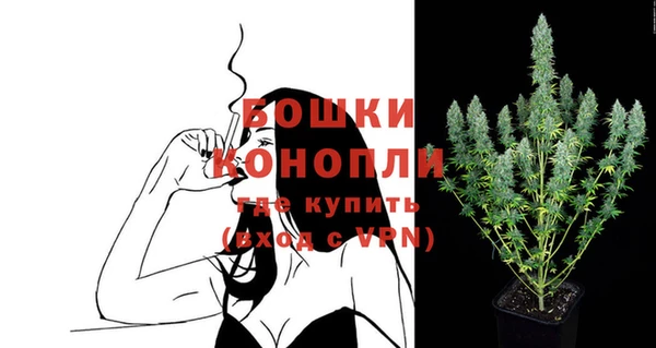 гидра Надым