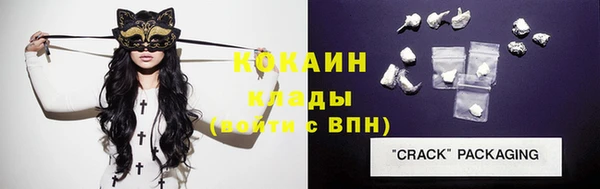 гидра Надым