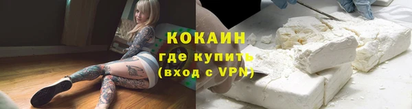 гидра Надым