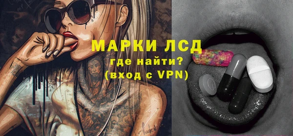гидра Надым