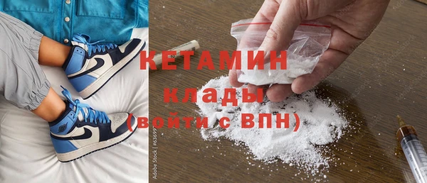 гидра Надым