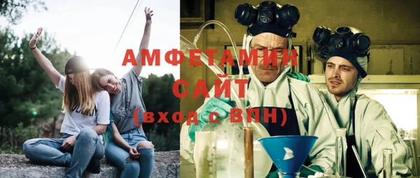 гидра Надым