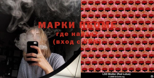 PSILOCYBIN Навашино
